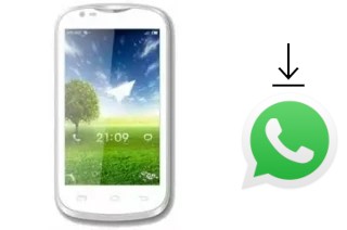 Comment installer WhatsApp dans un ExMobile EX-S30I