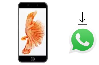 Comment installer WhatsApp dans un ExMobile EX39I