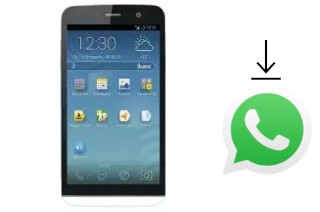 Comment installer WhatsApp dans un Explay Flame