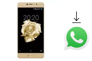 Comment installer WhatsApp dans un Fero Royale X2