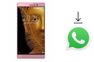 Comment installer WhatsApp dans un Fero X1