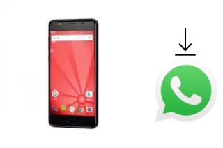 Comment installer WhatsApp dans un Firefly AURII F8 Premium