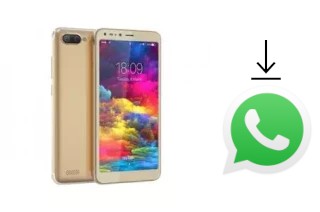 Comment installer WhatsApp dans un Firefly AURII Intense XT