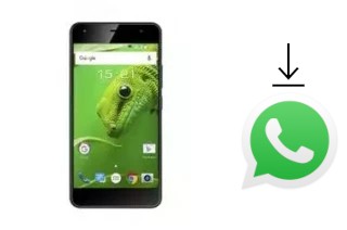 Comment installer WhatsApp dans un Fly Cirrus 11