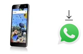 Comment installer WhatsApp dans un Fly Cirrus 8