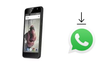 Comment installer WhatsApp dans un Fly Knockout