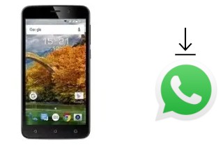 Comment installer WhatsApp dans un Fly Nimbus 9