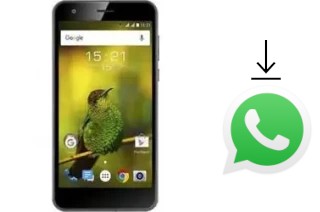 Comment installer WhatsApp dans un Fly Power Plus XXL