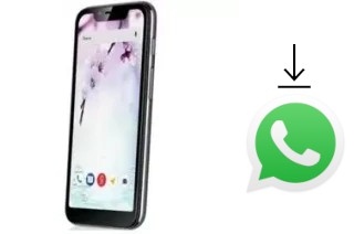 Comment installer WhatsApp dans un Fly View