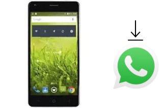 Comment installer WhatsApp dans un Flycat Optimum 5001