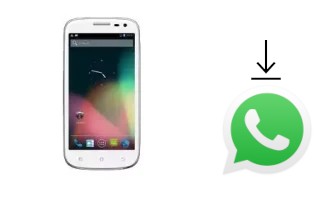 Comment installer WhatsApp dans un Funker R502