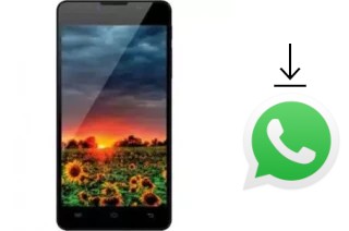 Comment installer WhatsApp dans un Funker R604