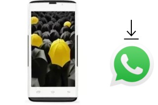 Comment installer WhatsApp dans un Genx E1