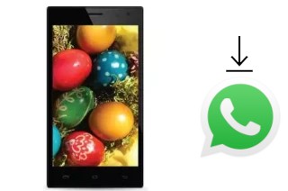 Comment installer WhatsApp dans un Genx H1