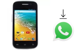 Comment installer WhatsApp dans un GFive Gfive President Shark 1