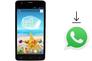 Comment installer WhatsApp dans un GFive President Classic 7