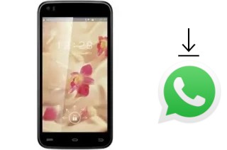 Comment installer WhatsApp dans un GFive President Classic 9