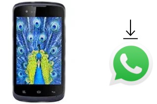 Comment installer WhatsApp dans un Gionee Ctrl V1