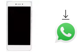 Comment installer WhatsApp dans un Gionee F100