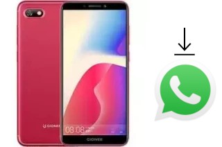 Comment installer WhatsApp dans un Gionee F205 Pro