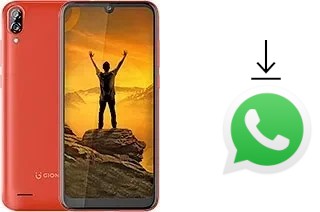 Comment installer WhatsApp dans un Gionee Max