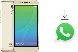 Comment installer WhatsApp dans un Gionee X1s