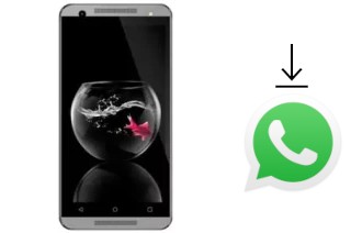 Comment installer WhatsApp dans un GoMobile GO504