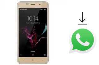 Comment installer WhatsApp dans un Gooweel M15