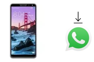 Comment installer WhatsApp dans un Gooweel M5 Plus