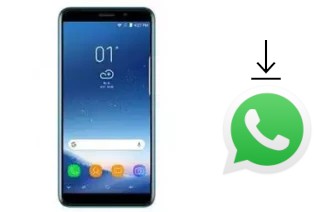 Comment installer WhatsApp dans un Gooweel S10