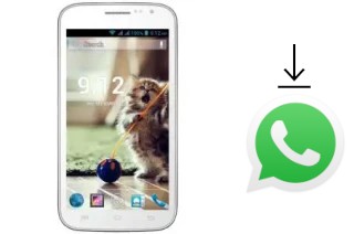 Comment installer WhatsApp dans un GPhone Bold