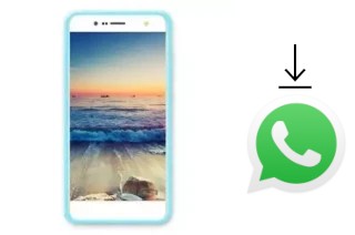 Comment installer WhatsApp dans un Green-Orange Green Orange GO 55307