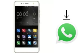 Comment installer WhatsApp dans un Green-Orange Green Orange GO55303