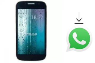 Comment installer WhatsApp dans un Growing GMD4312