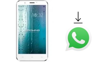 Comment installer WhatsApp dans un Growing GMQ5712