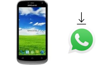 Comment installer WhatsApp dans un Growing Z4 Plus