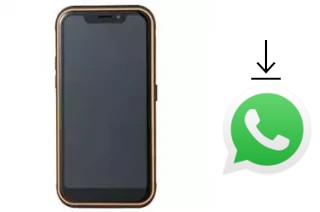 Comment installer WhatsApp dans un Guophone X3