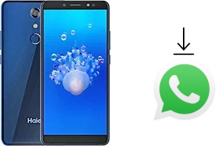 Comment installer WhatsApp dans un Haier L6