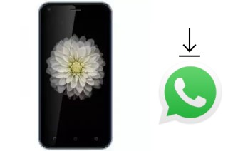 Comment installer WhatsApp dans un Hi-Tech Air A10