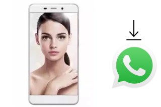 Comment installer WhatsApp dans un Himax M21S