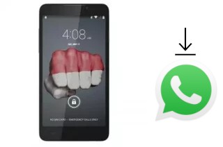 Comment installer WhatsApp dans un Himax Polymer