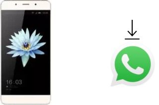 Comment installer WhatsApp dans un HiSense C1