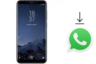 Comment installer WhatsApp dans un HomTom R17