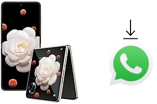 Comment installer WhatsApp dans un Honor Magic V Flip