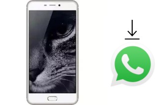 Comment installer WhatsApp dans un Hotwav Cosmos V21