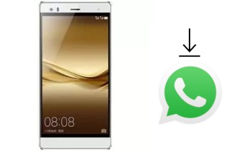 Comment installer WhatsApp dans un Hotwav Cosmos V5