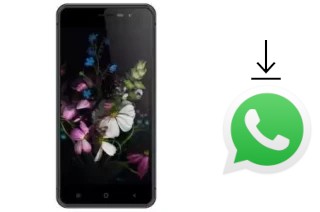 Comment installer WhatsApp dans un Hotwav Cosmos V811