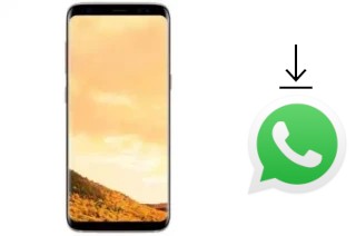 Comment installer WhatsApp dans un Hotwav I8009