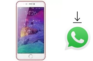Comment installer WhatsApp dans un Hotwav Venus R12