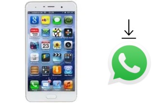 Comment installer WhatsApp dans un Hotwav Venus R9